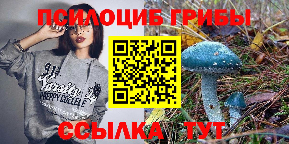 Галлюциногенные грибы мицелий Саяногорск